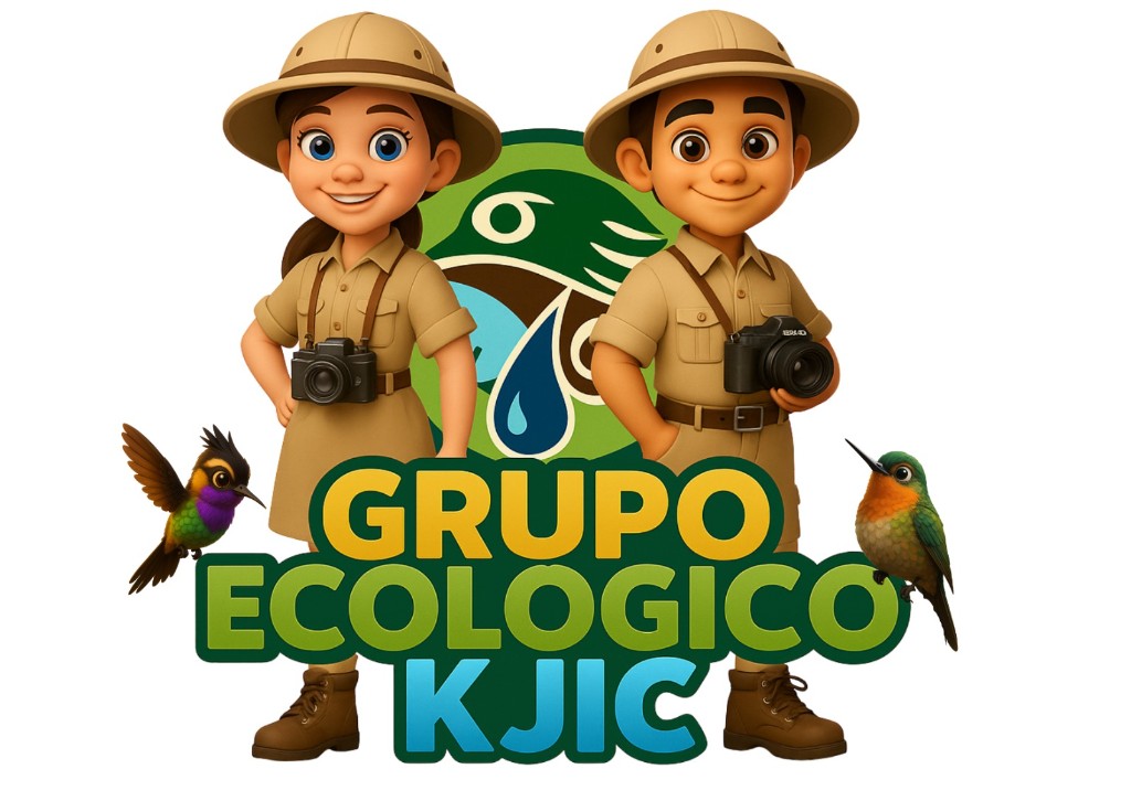 Portada de Páramo STEAM